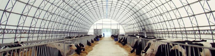 Сельское хозяйство